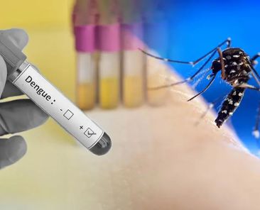 dengue-il-virus-viaggia-con-le-zanzare